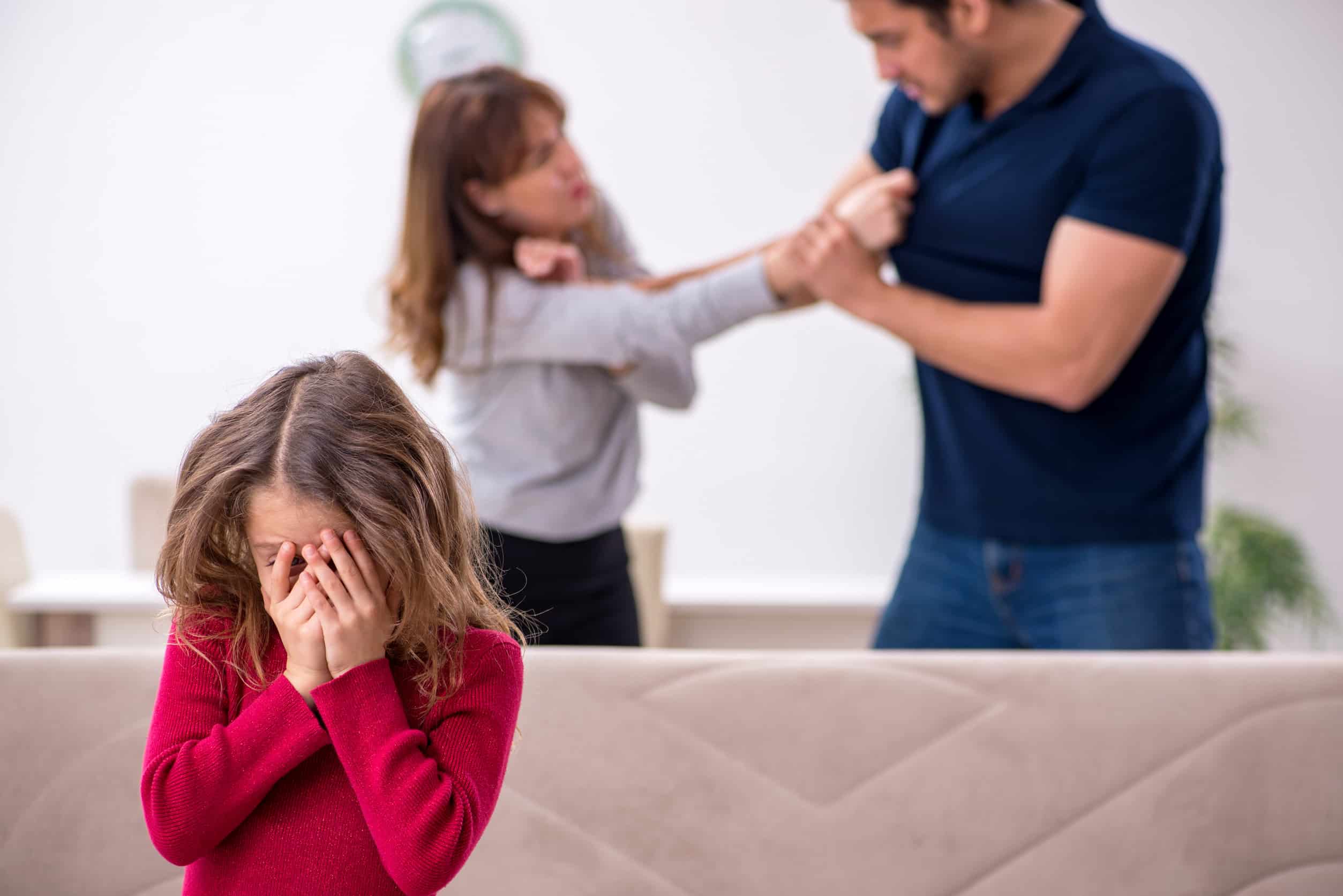Personal Impact of a Domestic Violence Conviction